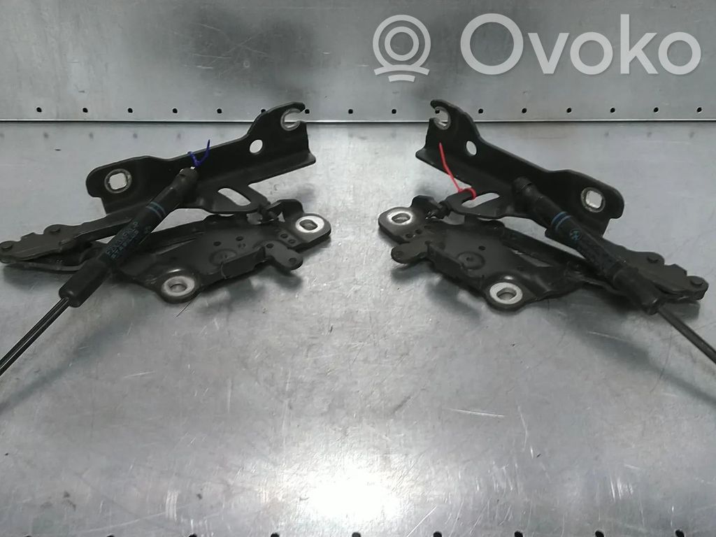 BMW 3 F30 F35 F31 Cerniere del vano motore/cofano 