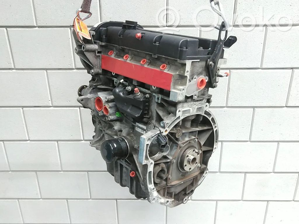 Ford Fiesta Variklis 