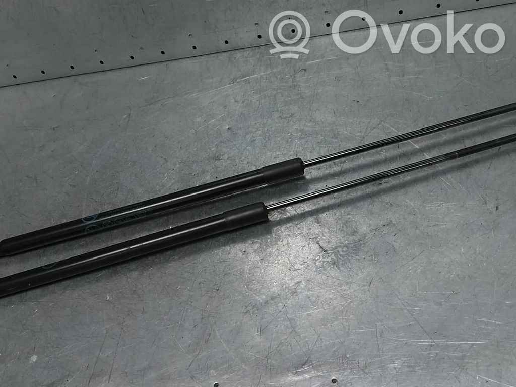 Ford Focus Ammortizzatore portellone posteriore/bagagliaio 