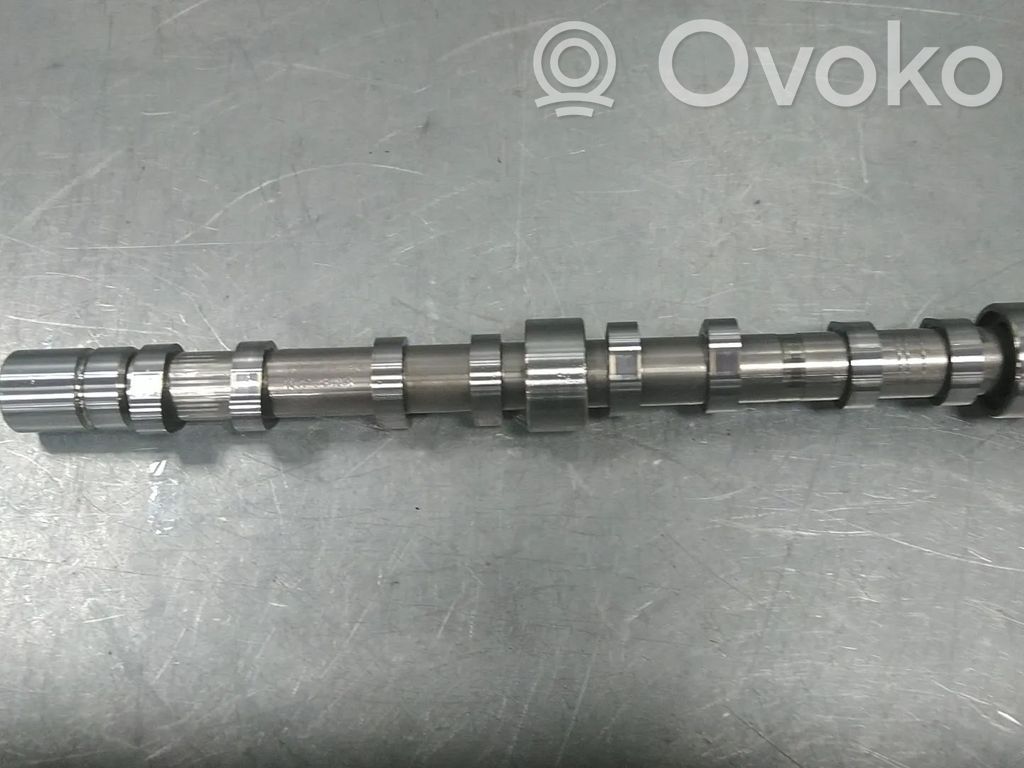 Volkswagen Tiguan Árbol de levas 