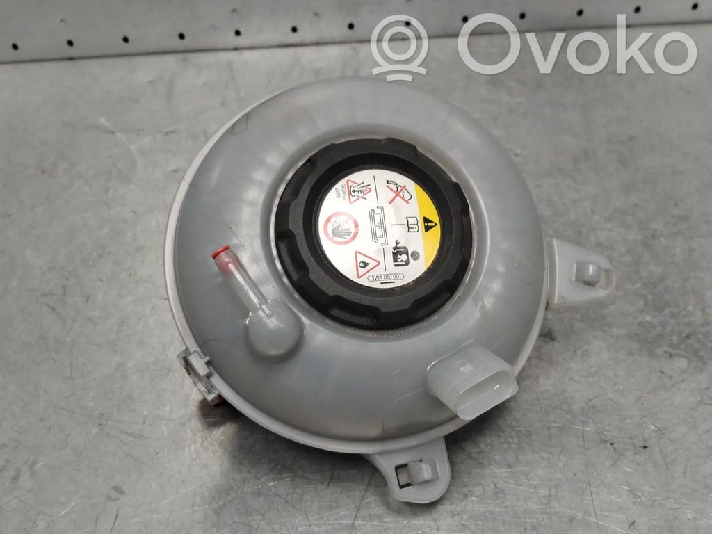 Audi Q5 SQ5 FY Vas expansiune/rezervor lichid de răcire 
