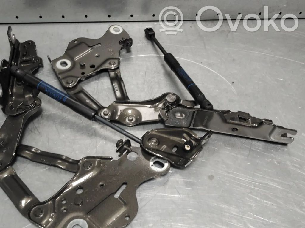 BMW X5 G05 Cerniere del vano motore/cofano 