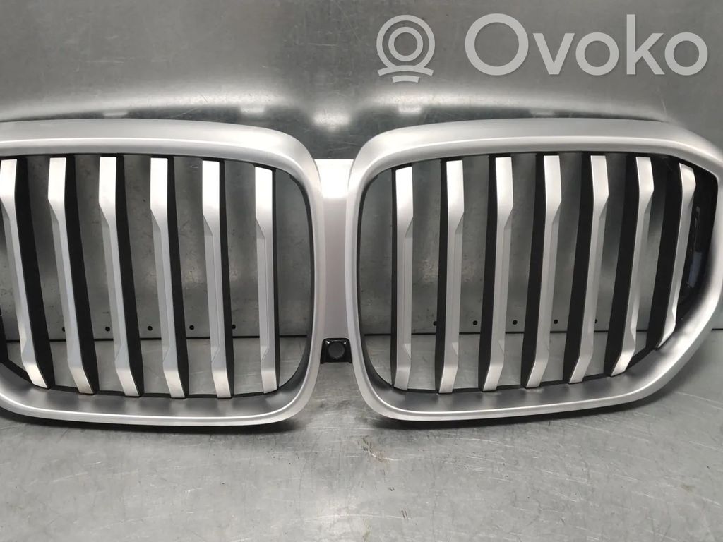 BMW X5 G05 Oberes Gitter vorne 
