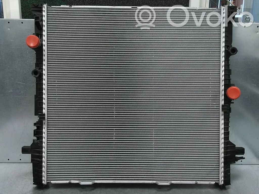 BMW X5 G05 Radiatore di raffreddamento 