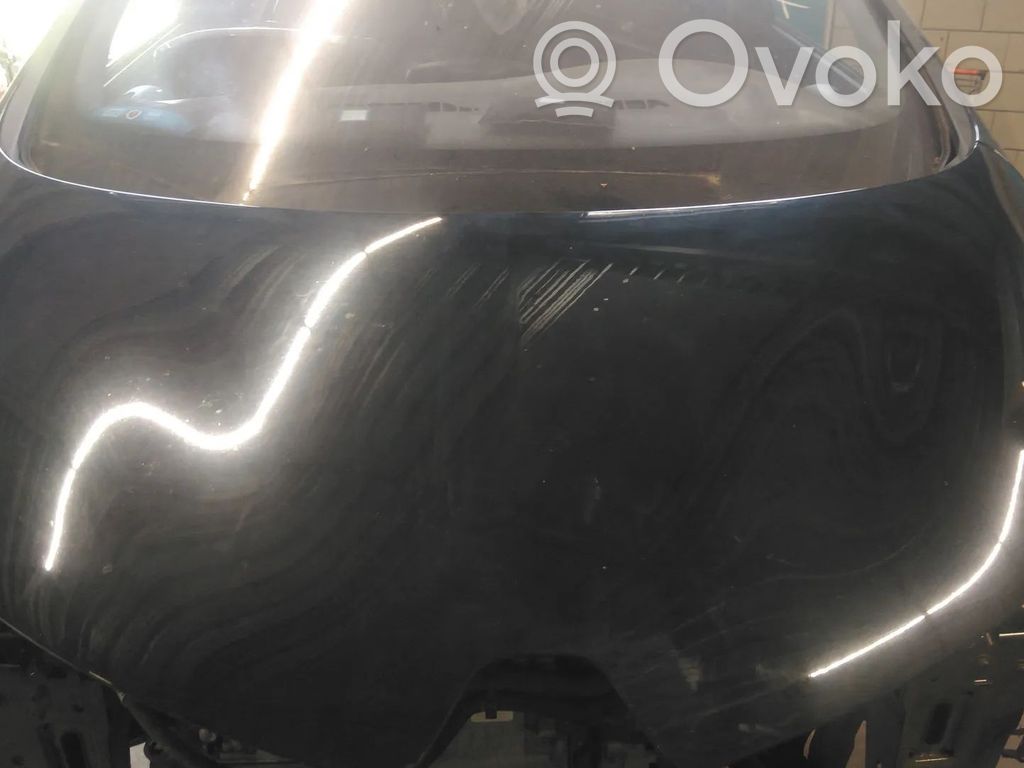 Motorhaube   651004516R