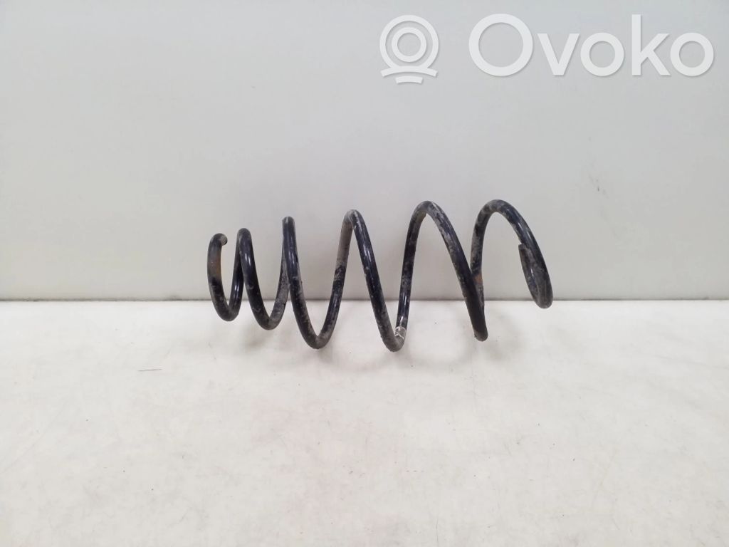 Front coil spring