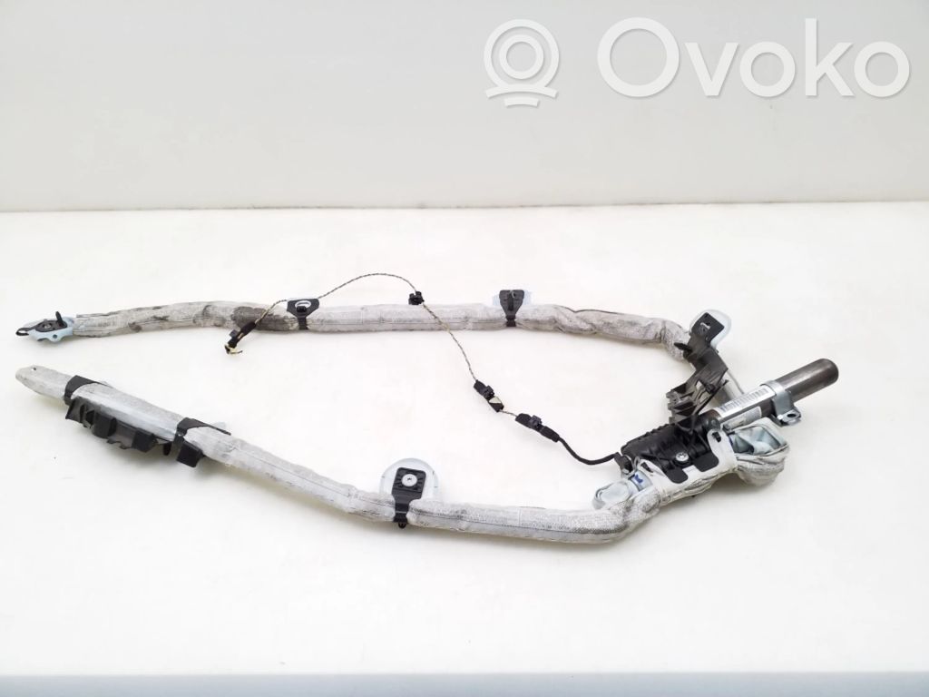 Airbag del techo   846966859069