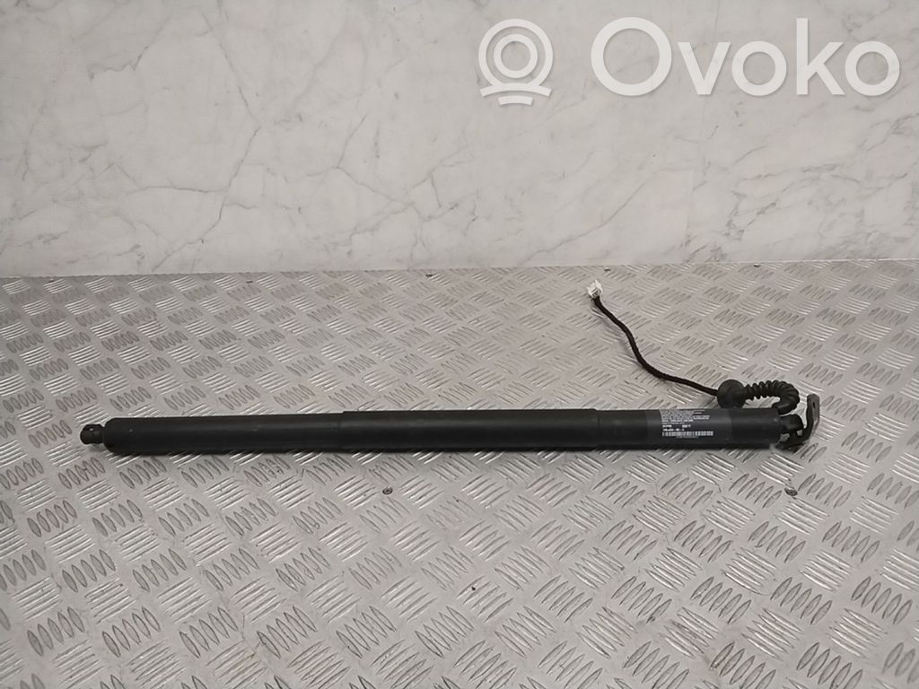 Bagažinės amortizatorius   106566400A