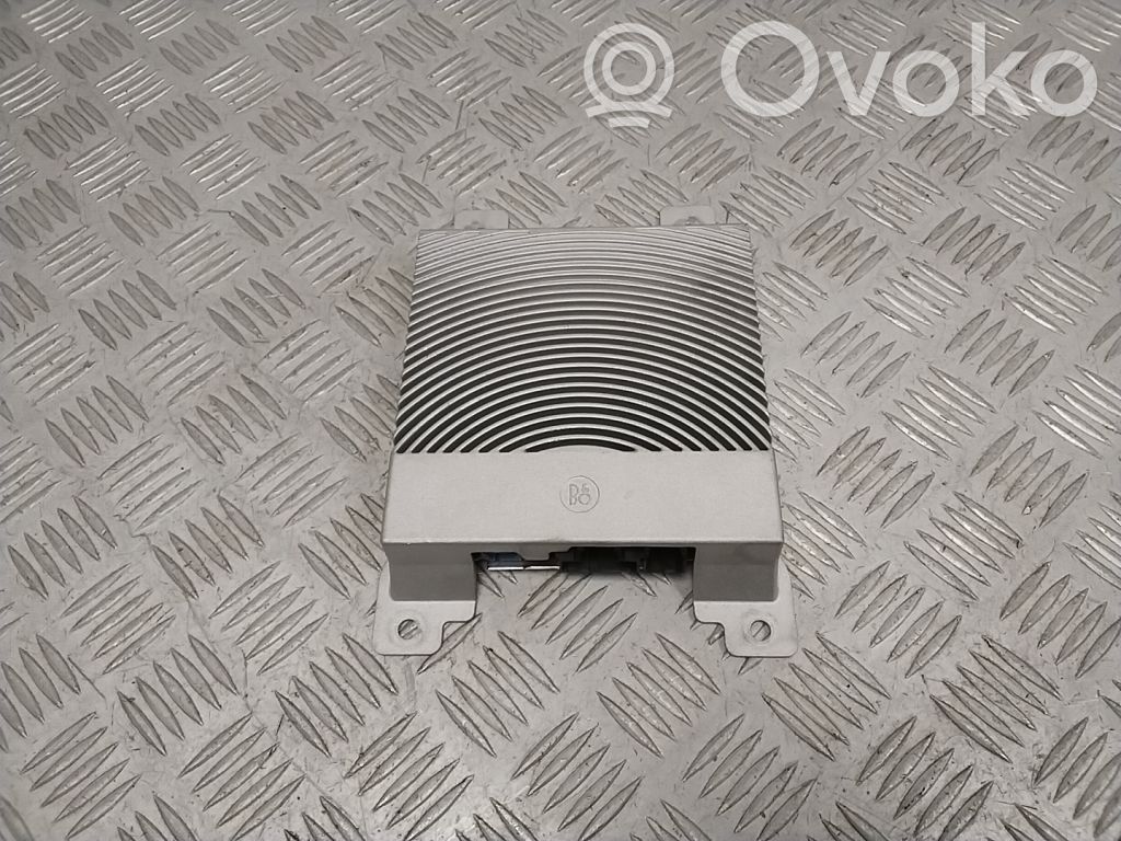 Ford Mach-E I Sound amplifier 