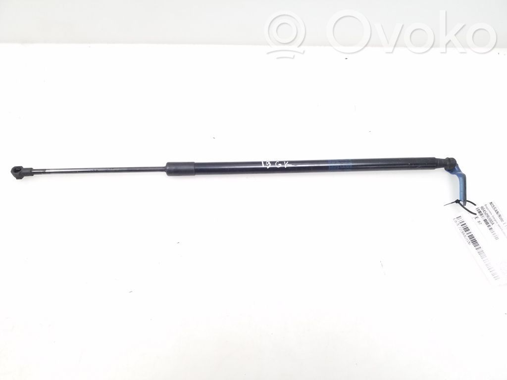 Jambe de force de hayon   904509U00A