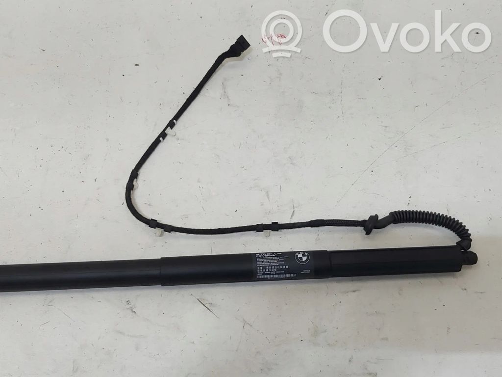 BMW X3 F25 Amortiguador/puntal del maletero/compartimento de carga 