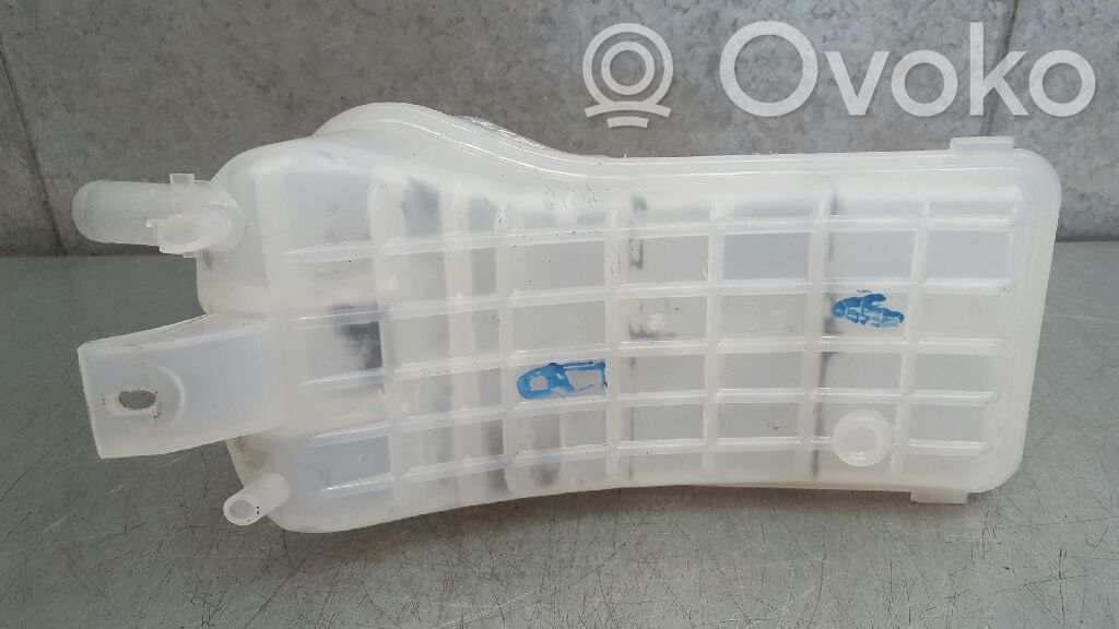 Citroen Xsara Vas expansiune/rezervor lichid de răcire 