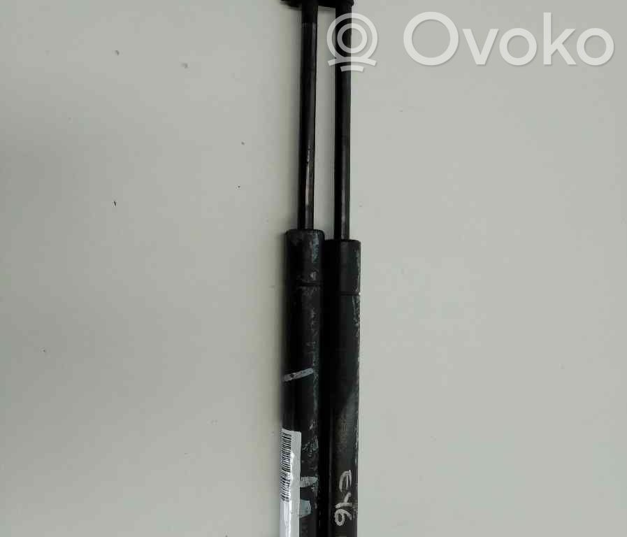 Amortizor capotă motor   51238202688