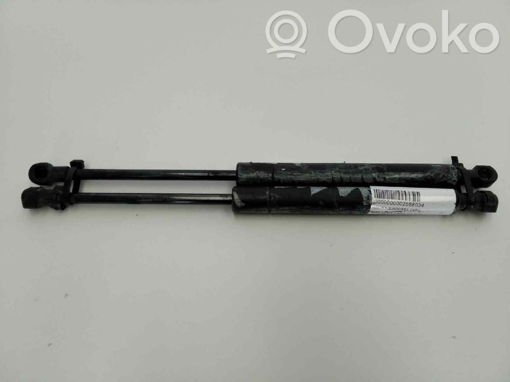 Amortizor capotă motor   51238202688