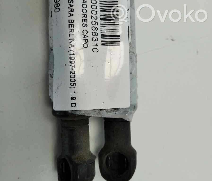 Citroen Xsara Gasdruckfeder Dämpfer Motorhaube 