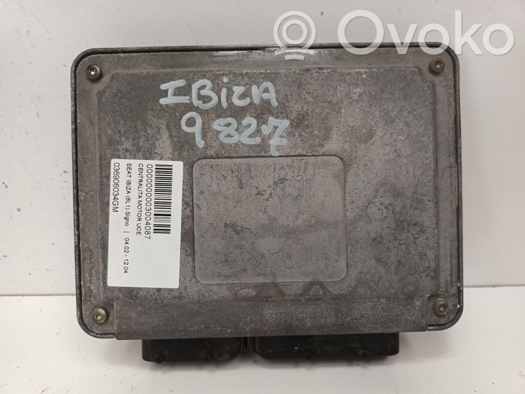 Seat Ibiza III (6L) Unitate/modul de control motor 