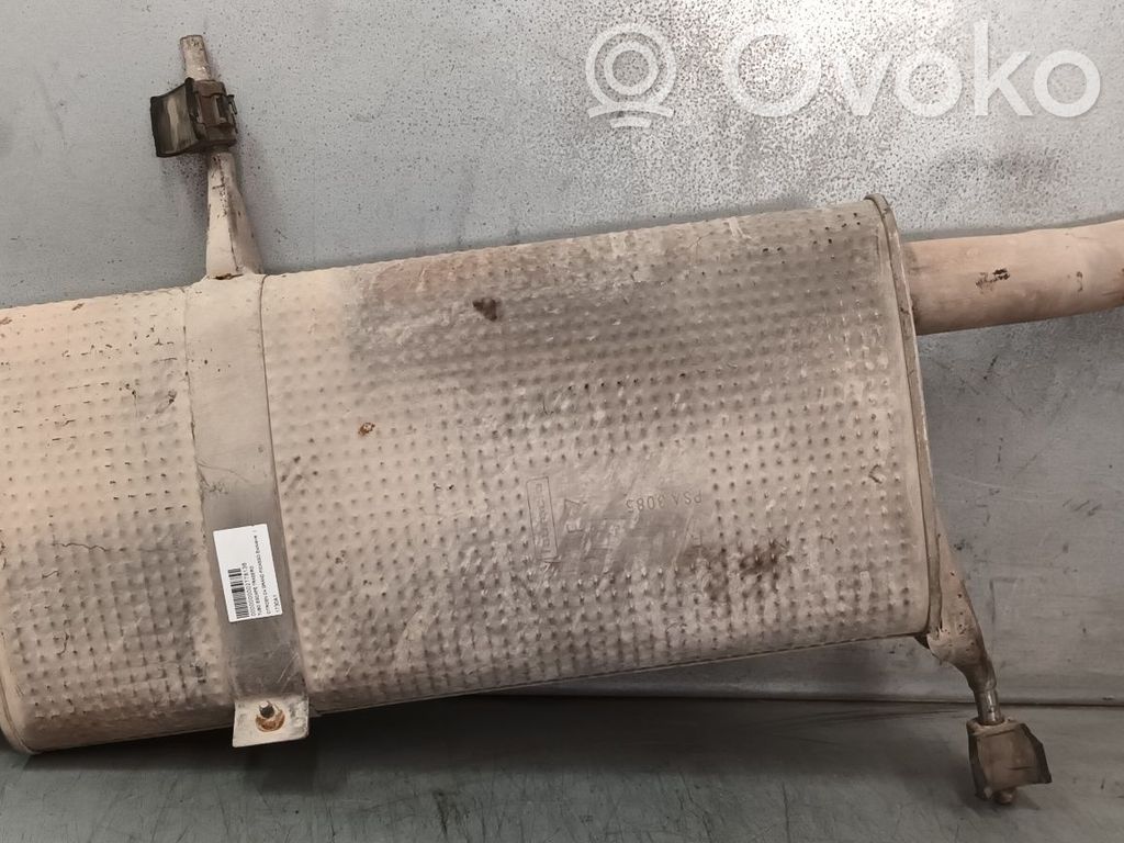 Citroen C4 Grand Picasso Galinė pūslė 