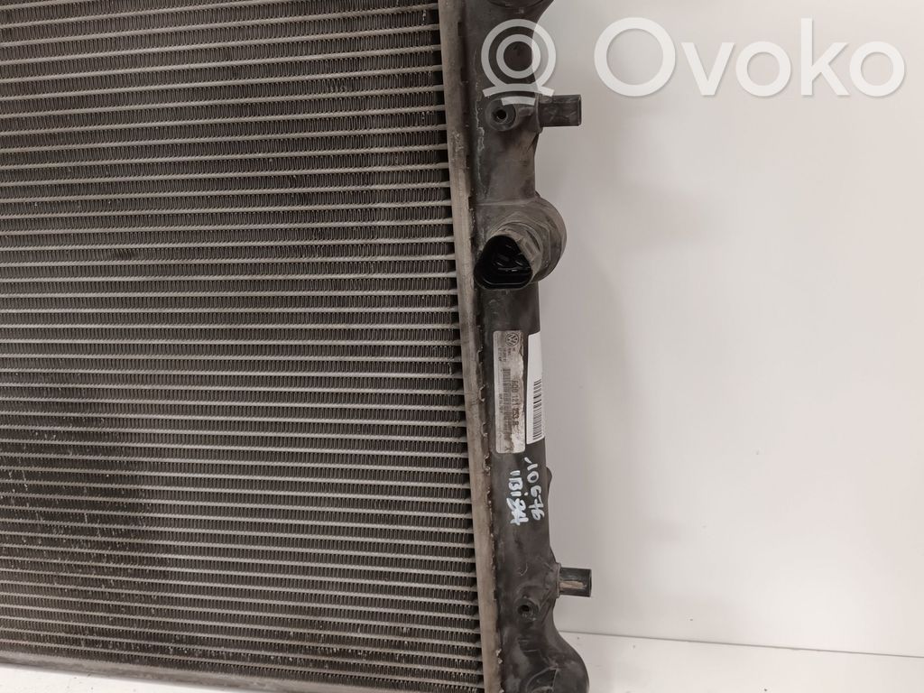 Seat Ibiza III (6L) Radiatore di raffreddamento
