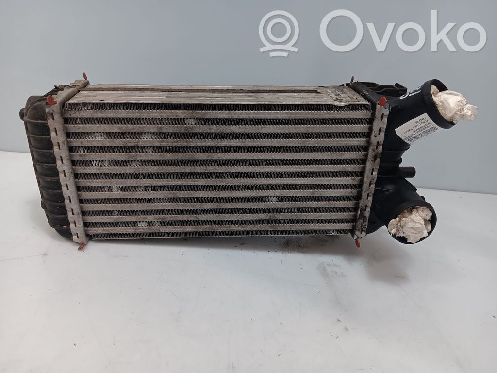 Intercooler radiator   8V619L440CD