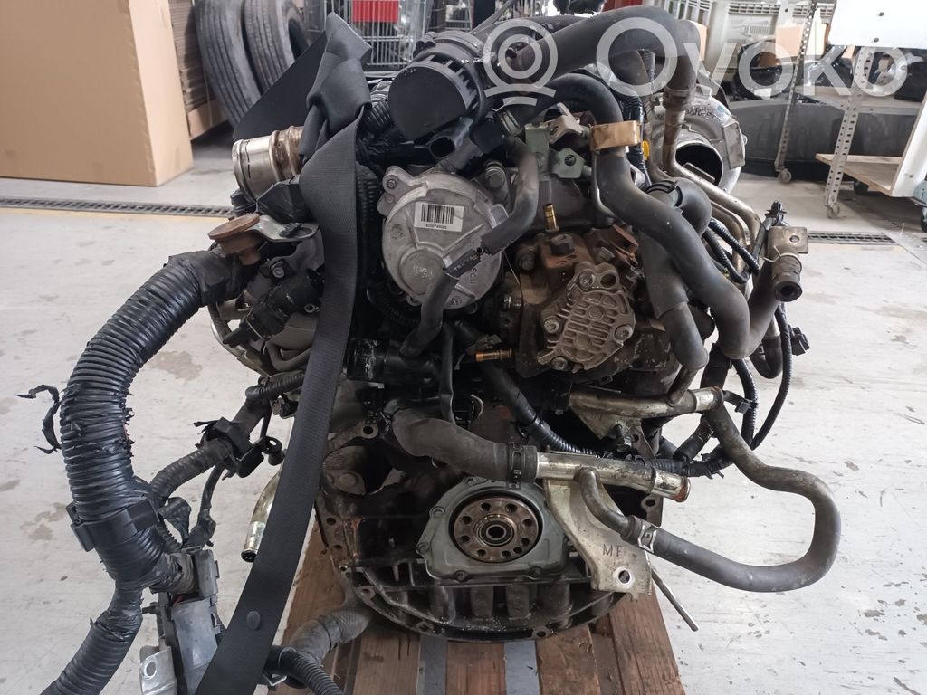 Renault Koleos I Motor 