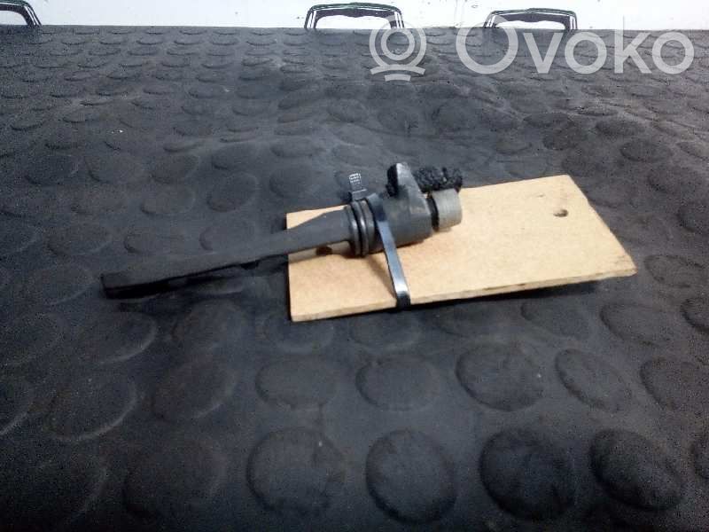 Inyector de combustible   GM09