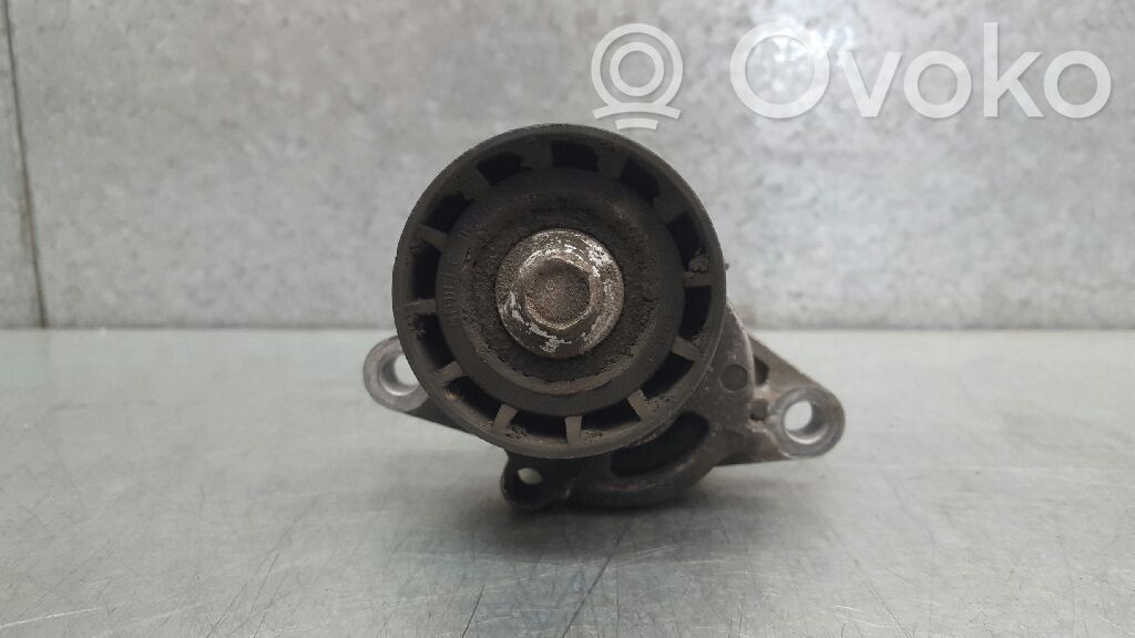 Tendicinghia generatore/alternatore   7700102872