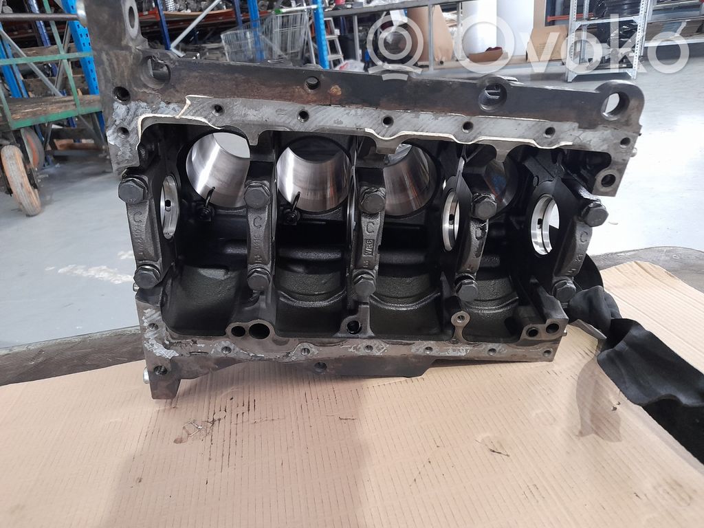 Volkswagen Golf Plus Bloque de motor 