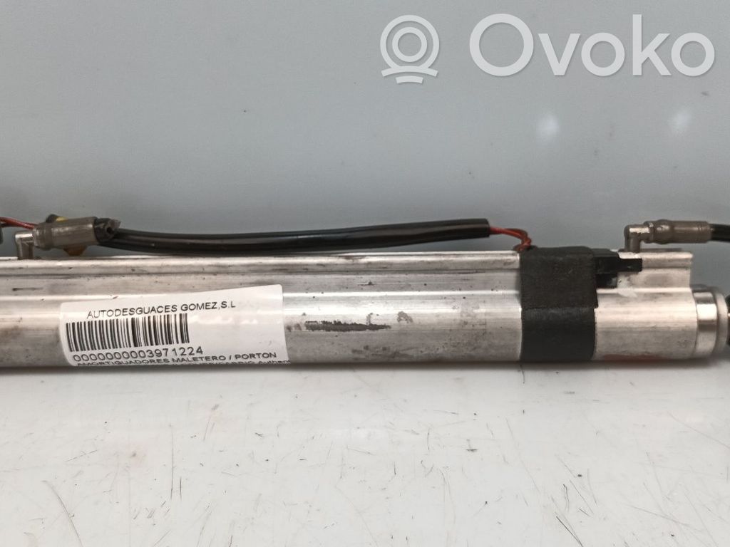Tailgate/trunk strut/damper