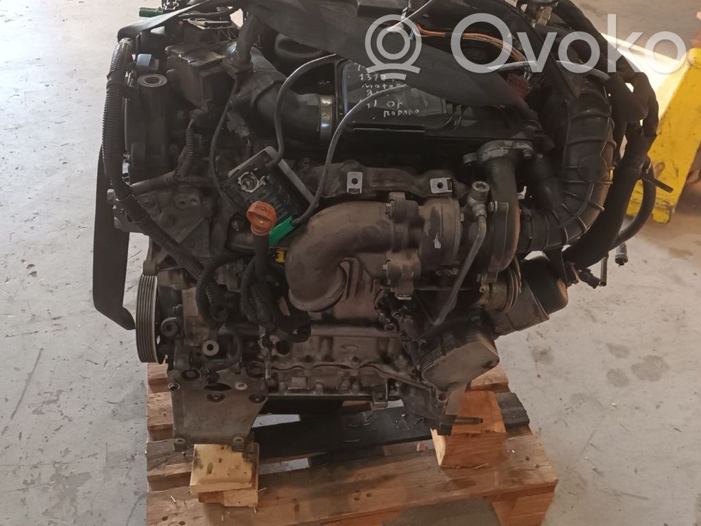 Motor   8HZ