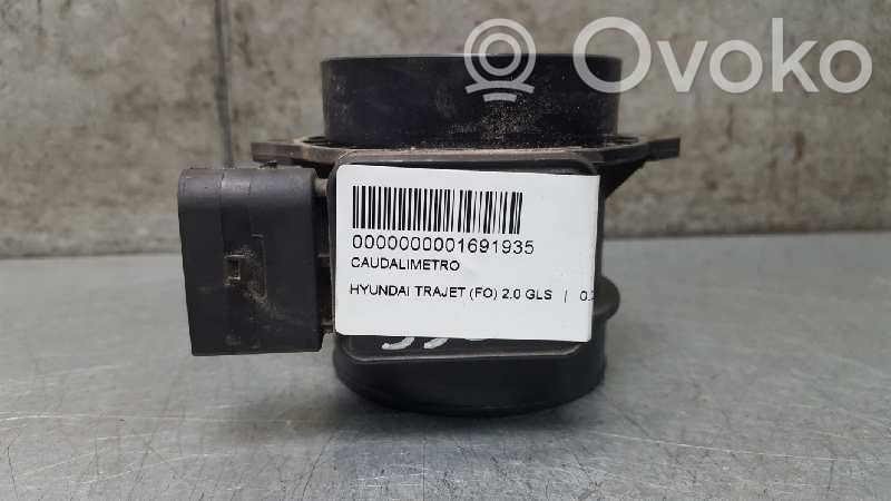 Hyundai Trajet Debitmetru aer 
