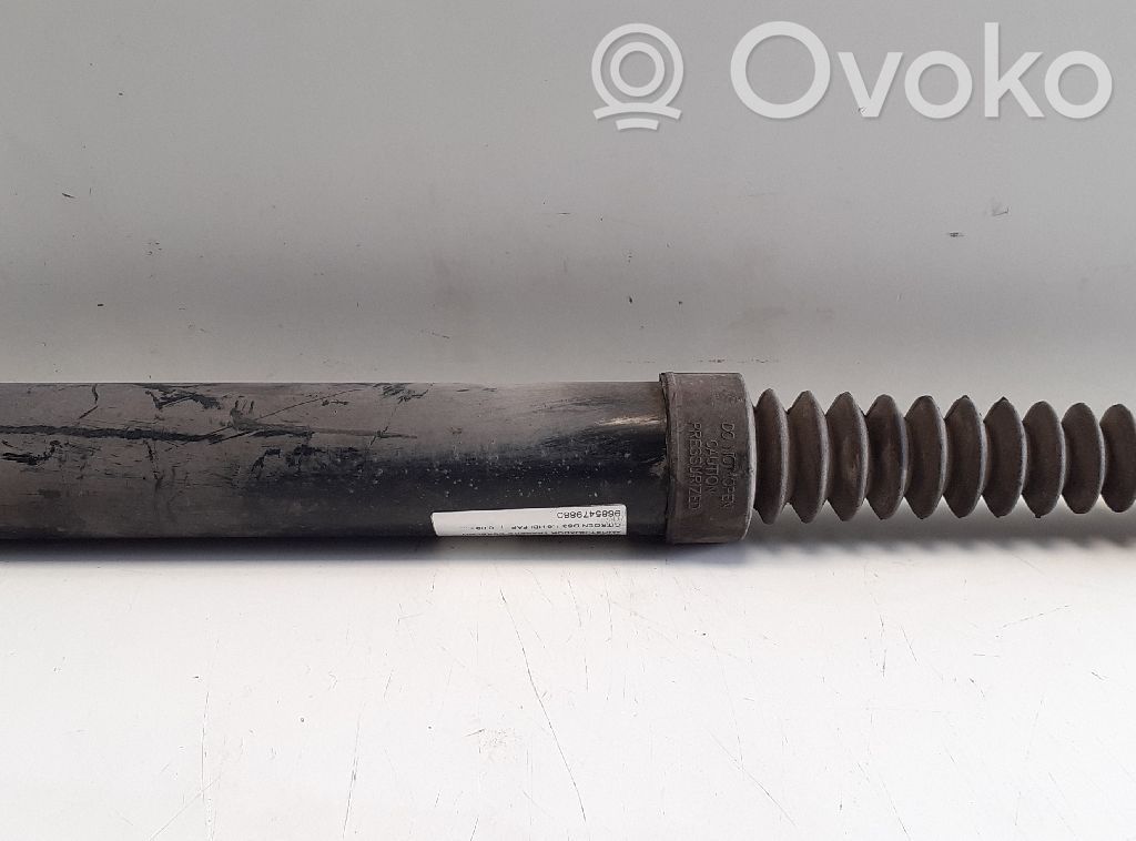 Stoßdämpfer hinten   9685479880