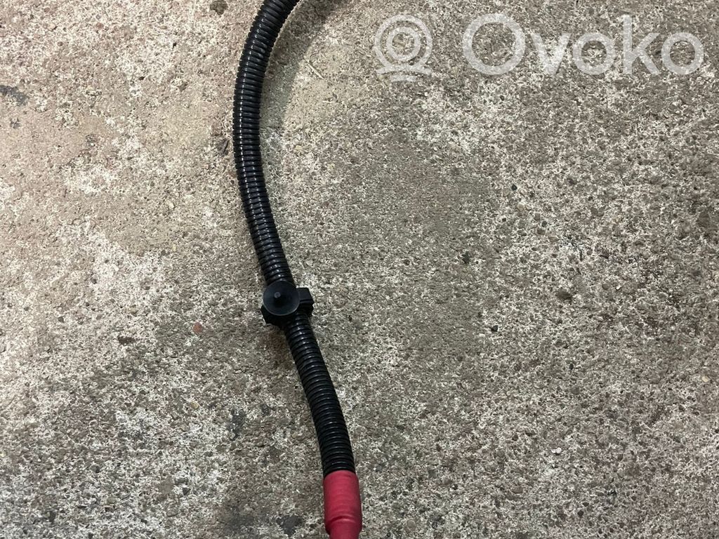 Positive cable (battery)   7789755,531175