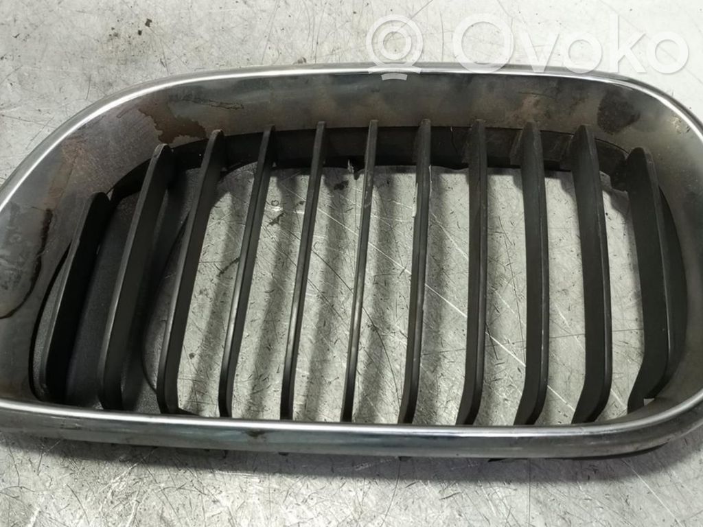 Kühlergrill   51137072129