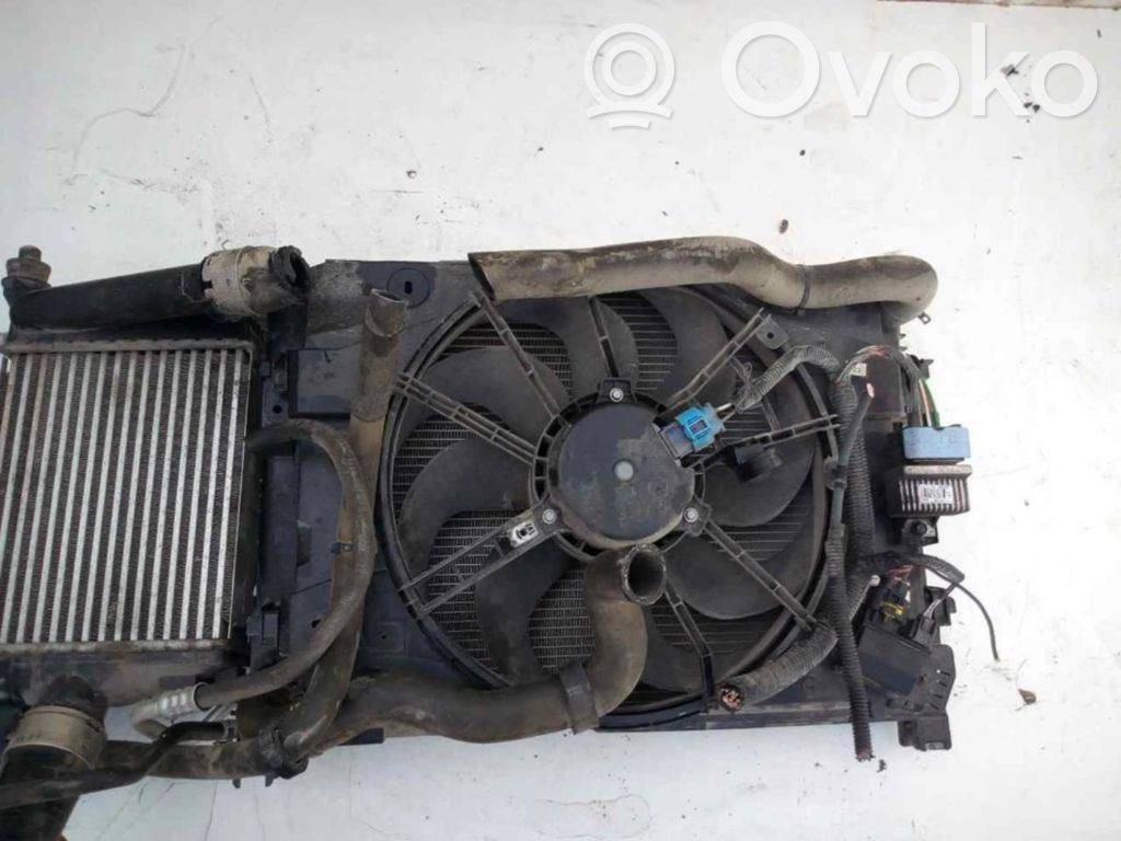 Ventilador de refrigeración   214818009R