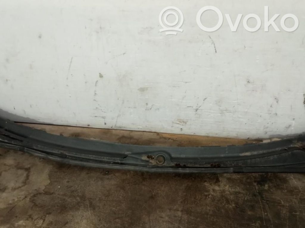 Moldura del limpia   8208483