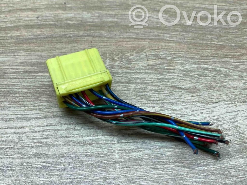 Plug wire   10764