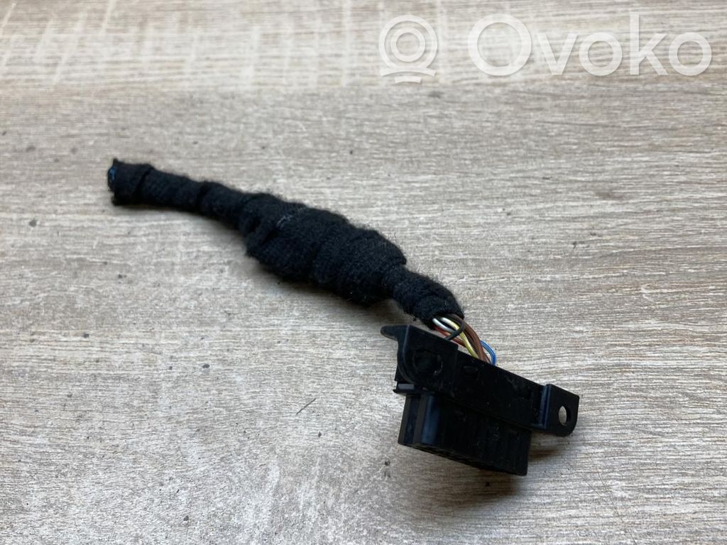 Plug wire   6954580