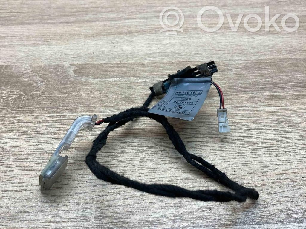 BMW 3 E92 E93 Luce maniglia portiera anteriore (esterno) 