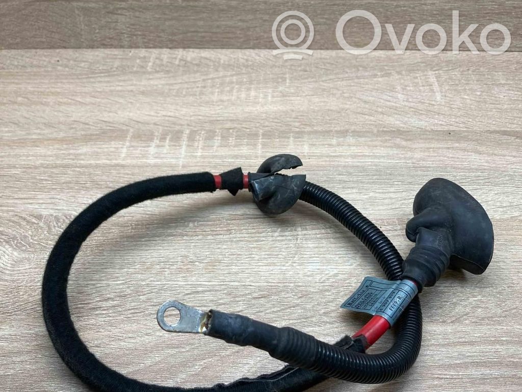 Plusa vads (akumulatora)   6907519