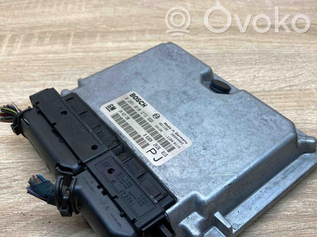 Engine control unit/module ECU   24417198,0281010273,WITHPLUG
