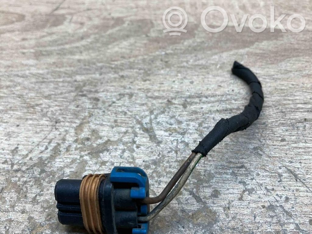Plug wire   1382189,2PIN