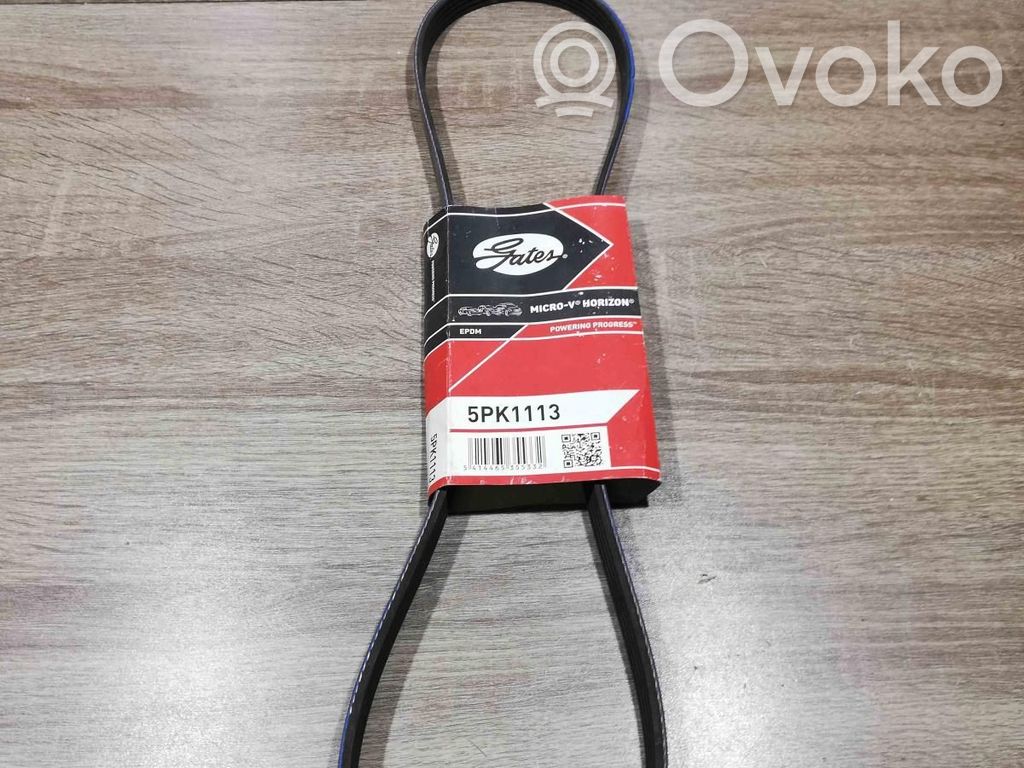 Correa de distribución   5PK1113