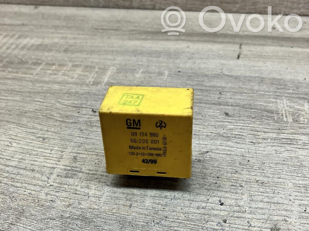 Otros relés   09134880,50206001
