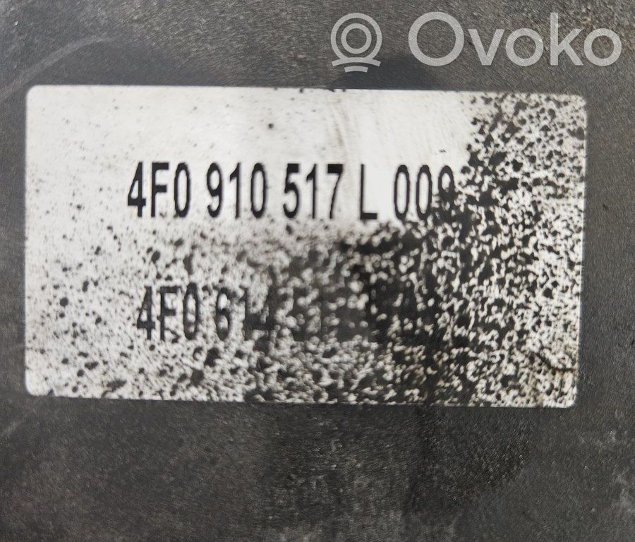 ABS bloks   4F0910517L009