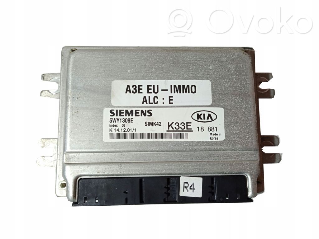 KIA Rio Engine control unit/module 
