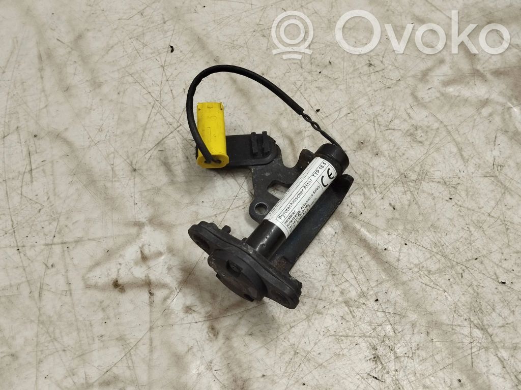 Siłownik poduszek powietrznych dla pieszych   7326019