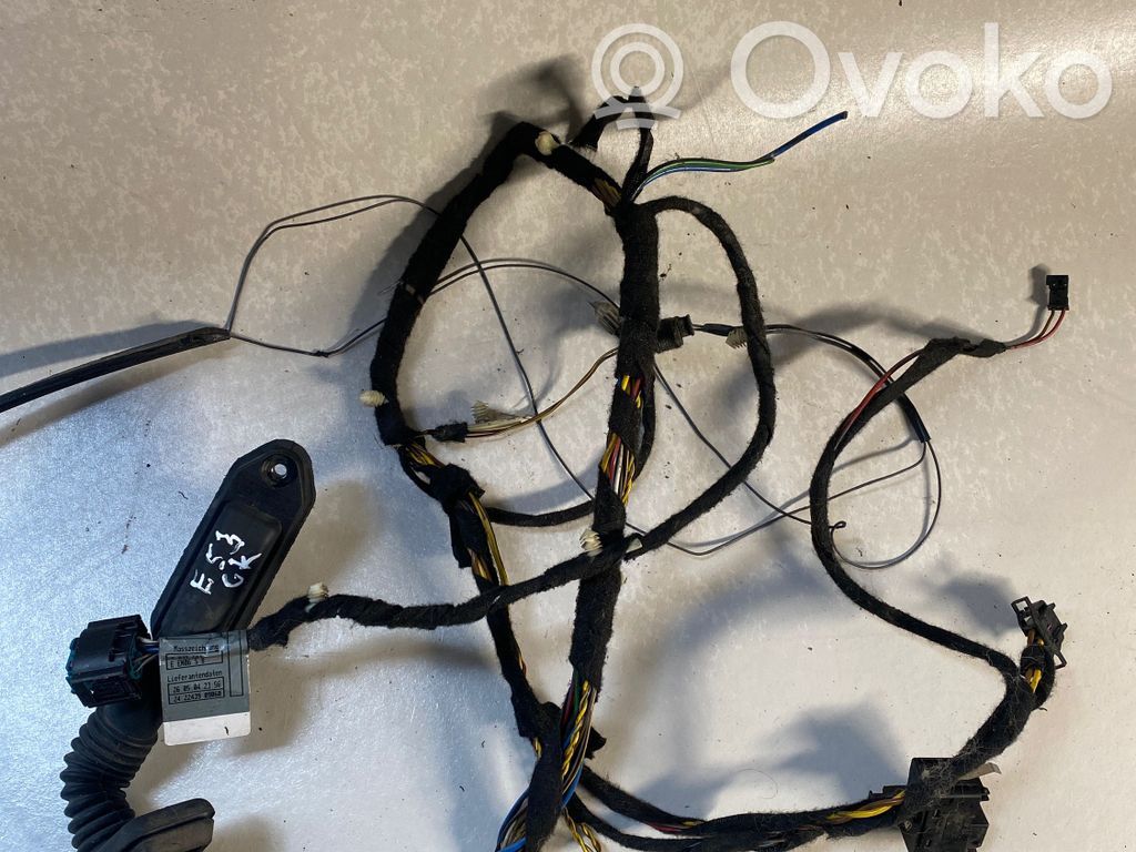 BMW X5 E53 Cableado de puerta trasera 