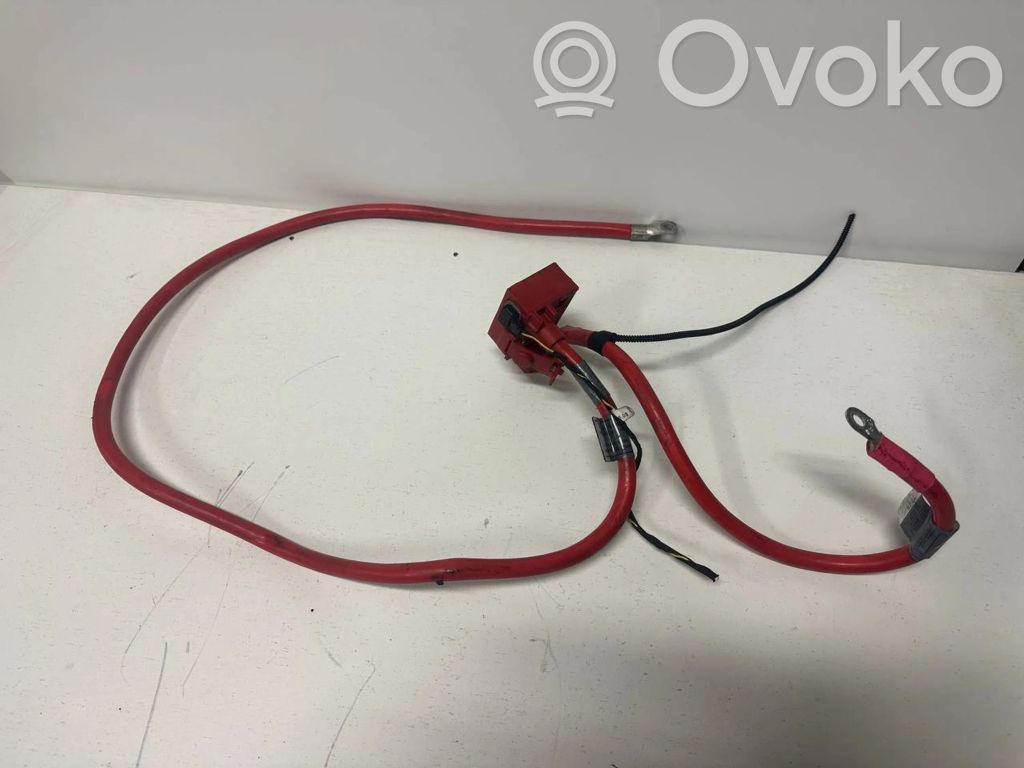 Plusa vads (akumulatora)   9127768,EEG36V