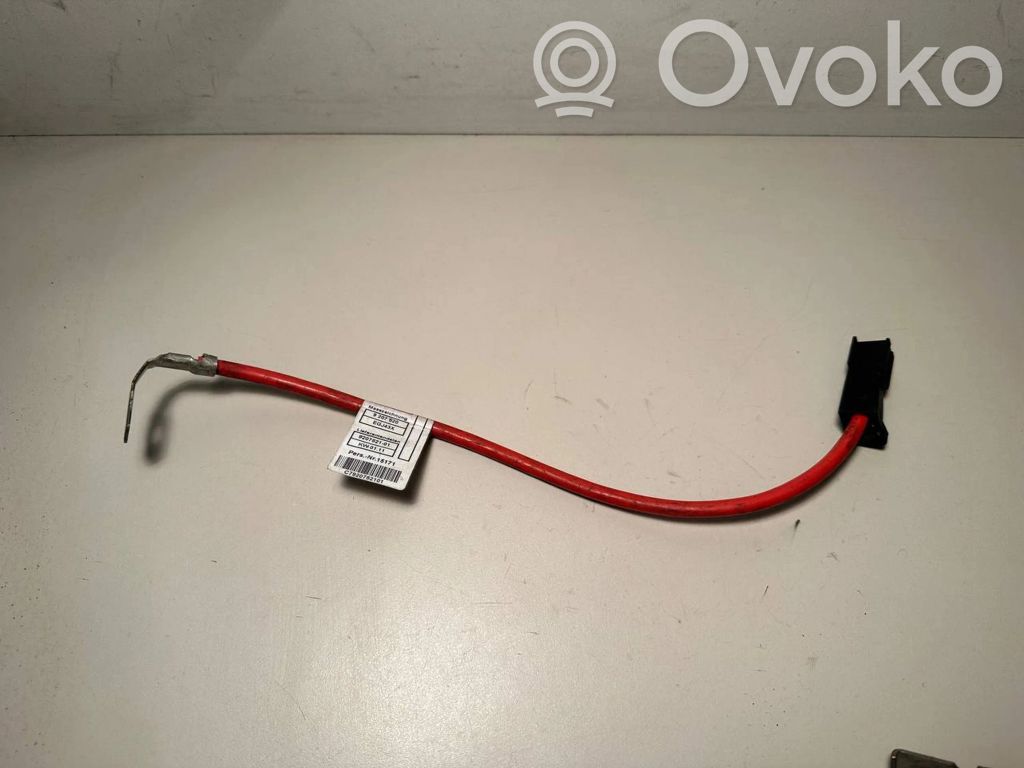 Positive cable (battery)   9207521