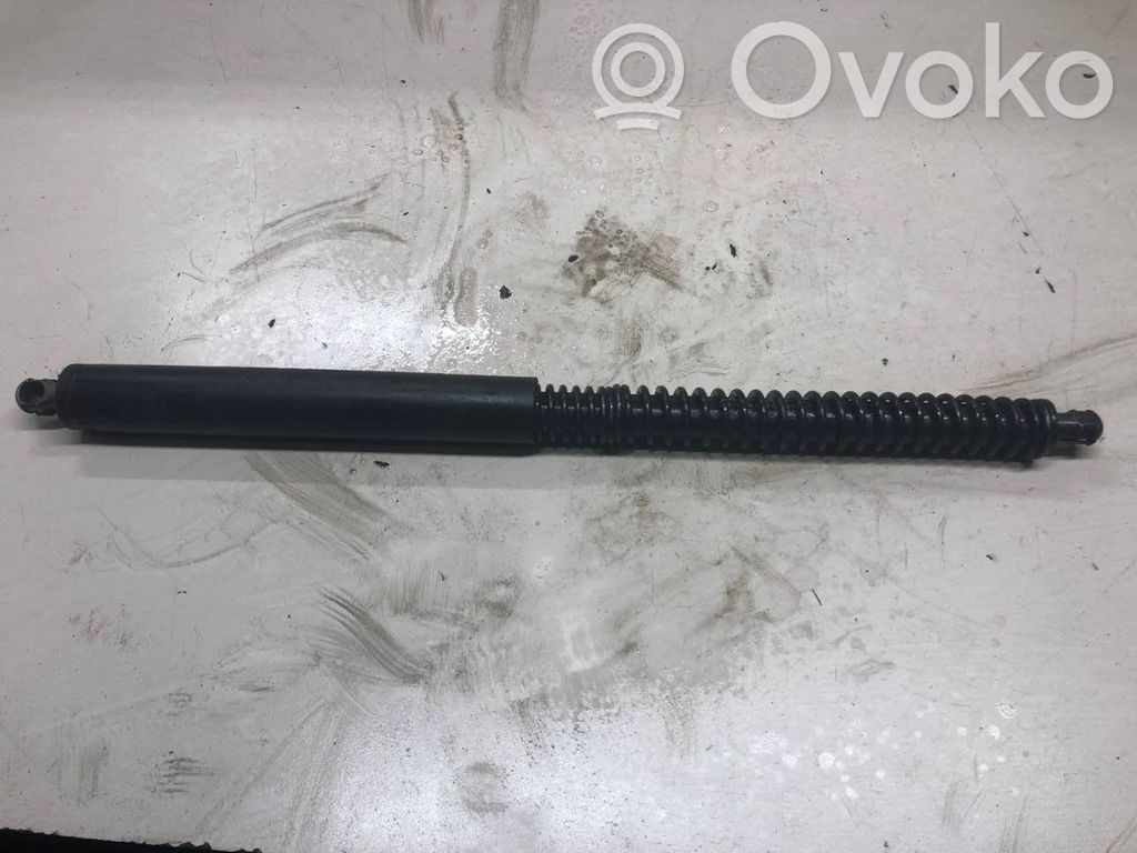 Tailgate/trunk strut/damper   8223811